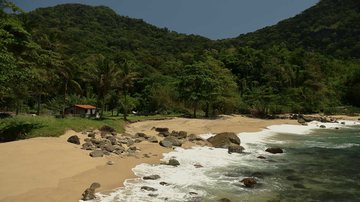 Praia da Figueira: mar verde, areia branca e refúgio isolado em Ilhabela