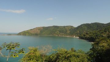 Praia da Fortaleza: águas cristalinas e mergulho entre peixes e tartarugas em Ubatuba