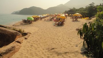 Refúgio em Ubatuba, Praia do Prumirim combina mar e cachoeira; conheça