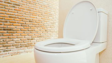 sal no vaso sanitário