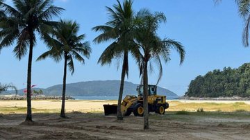 Santos cerca vegetação de jundu na areia para conter avanço do mar