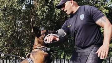 Cão farejador encontra 24 quilos de drogas em Cubatão
