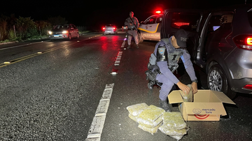 Flor de maconha estava acondicionada em uma caixa transportada por motorista flagrado em blitz - Polícia Rodoviária