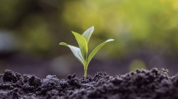 Semana da Compostagem mobiliza escolas com atividades práticas