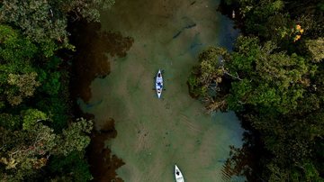 Rio Jaguareguava: um refúgio de águas cristalinas em Bertioga