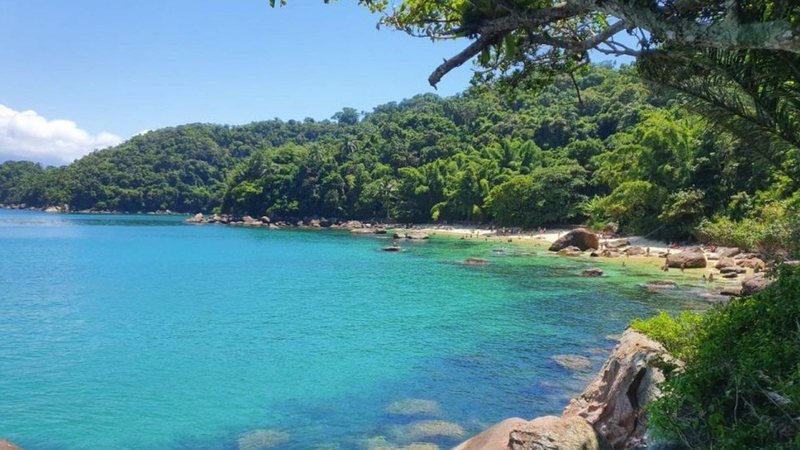 Ilha das Couves.