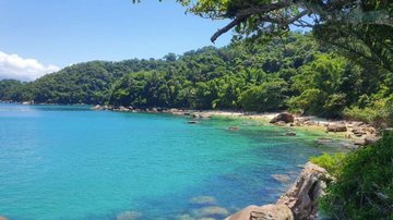 Ilha das Couves.