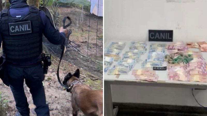 Agente canina da GCM acha drogas e suspeito é preso em São Sebastião