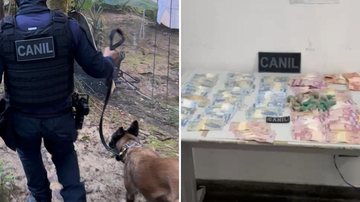 Agente canina da GCM acha drogas e suspeito é preso em São Sebastião