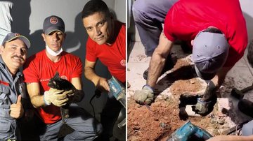Bombeiros resgatam filhote de gato preso em tubulação em Ubatuba