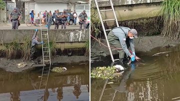 Corpo de homem não identificado é encontrado em canal de Praia Grande