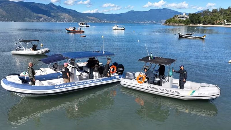 Ilhabela cria canal no WhatsApp para denunciar assédio a baleias