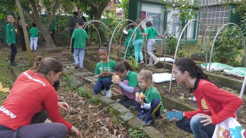 Instituto em São Sebastião promove ações na Semana do Meio Ambiente