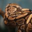 Por que cobras trocam de pele? Veterinário esclarece dúvidas sobre pets exóticos