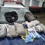 Suspeito tenta fugir, cai em córrego e GCM apreende 7,2kg de maconha em Bertioga