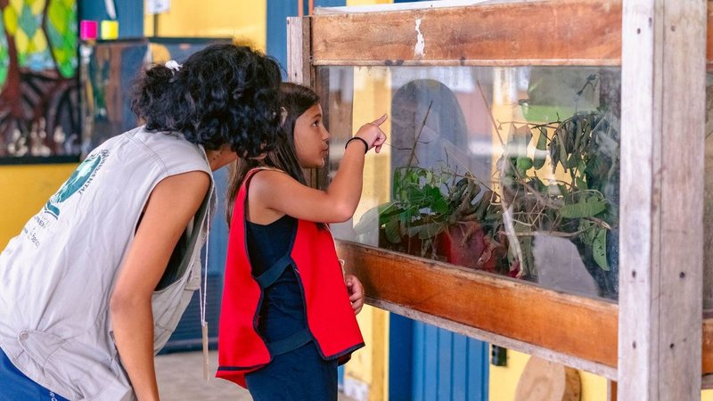 Bertioga sedia minicurso sobre vida marinha para crianças nas férias de julho