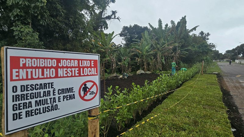 Imagem de um canteiro com plantas recém colocadas