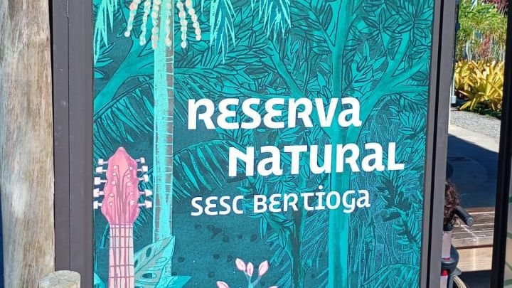 Luzes da cidade podem desorientar aves; evento explica em Bertioga