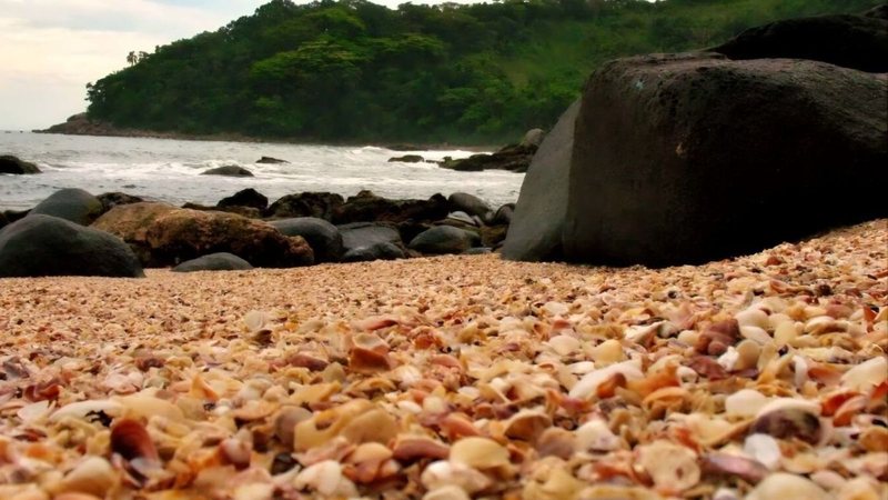 Praia das Conchas, no Guarujá