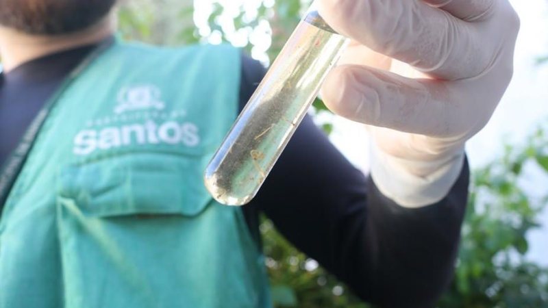 Santos inicia vistorias contra a dengue em mais de 5 mil imóveis