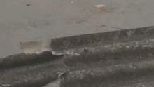 Foto de telhado caído