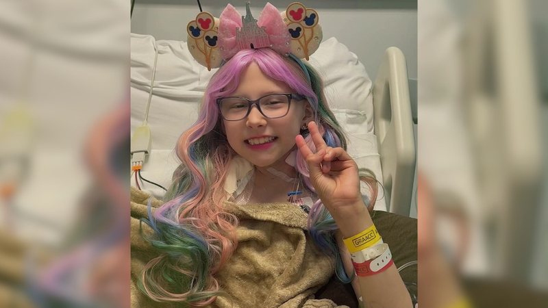 Uma garotinha com peruca colorida e uma tiara da Disney