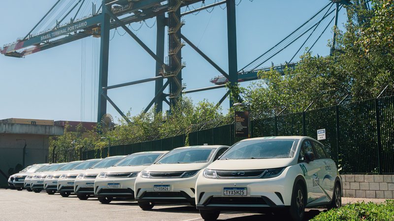 Imagem de diversos carros elétricos lado a lado