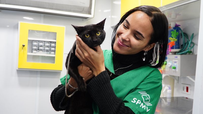 Veterinária segurando gato em clínica