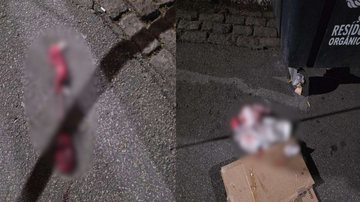 Imagem desfocada mostra o feto ainda ligado à placenta no esfalto de uma rua de Santos