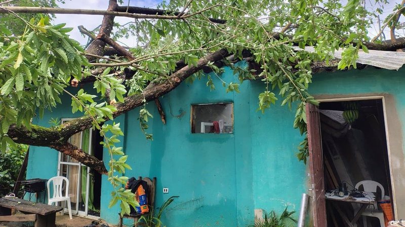 Árvore caída sobre telhado de casa