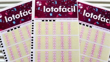 Volante da Lotofácil