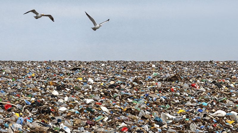 Gaivotas voando sobre um aterro sanitário maciço de lixo e resíduos