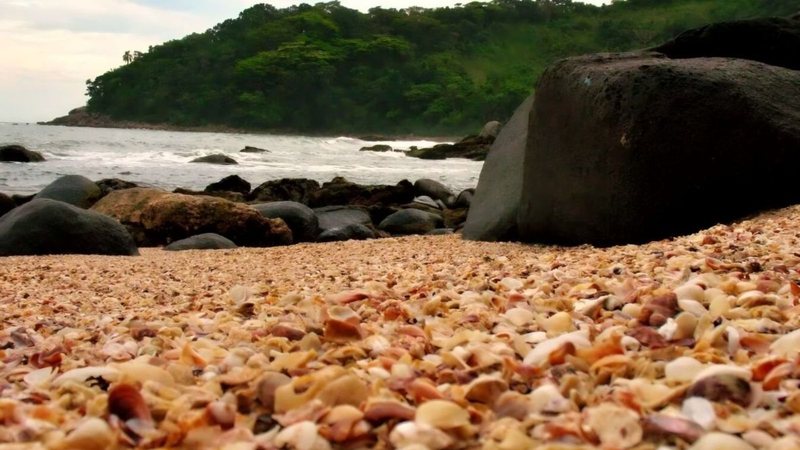 Praia das Conchas, no Guarujá