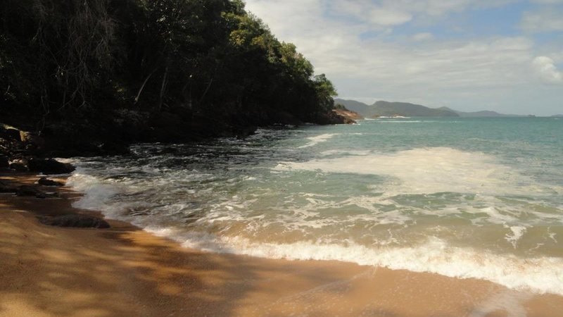 Faixa de areia cercada por vegetação nativa, mar azul-esverdeado e montanhas
