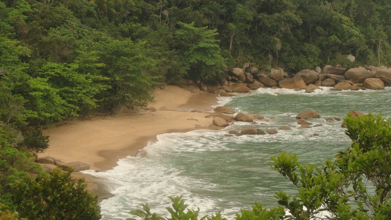 Praia cercada por vegetação de Mata Atlântica, com faixa de areia, pedras e mar com ondas