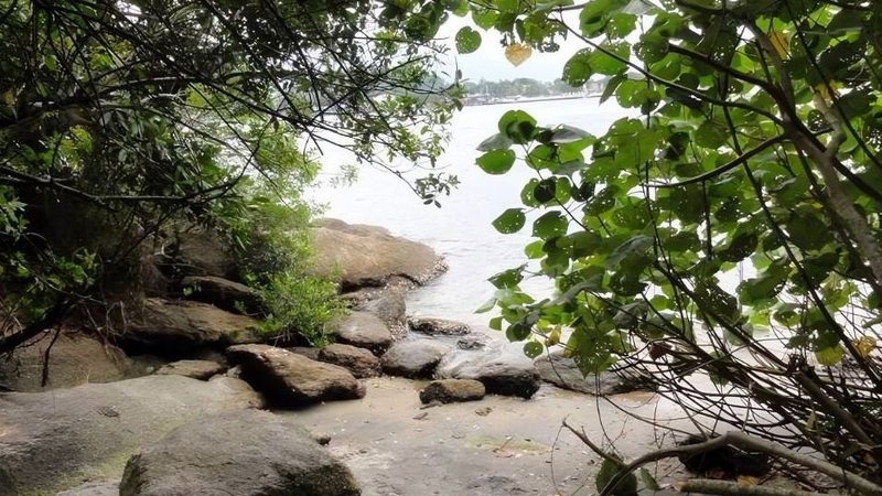 Foto da praia da Armação da Baleia