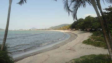 Faixa de areia, mar calmo, coqueiros e morros ao fundo