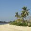 Praia do Itaguá, em Ubatuba, com faixa de areia, mar calmo, coqueiros e avenida arborizada à beira-mar