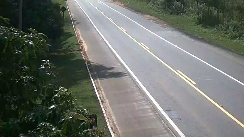 Pista asfaltada de mão dupla cercada por vegetação e áreas de mata nas laterais.