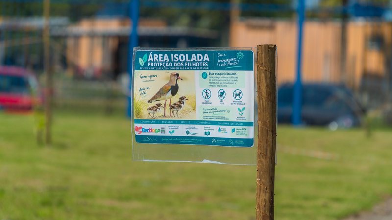 Ninho de quero-quero mobiliza isolamento ambiental em Bertioga