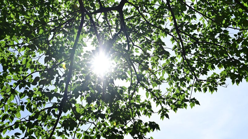 Equinócio marca o início da primavera nesta terça-feira (22)