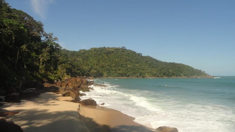 Praia Brava de Itamambuca, em Ubatuba, com faixa de areia cercada por vegetação e mar aberto