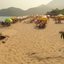 Orla da praia do Prumirim, em Ubatuba/SP
