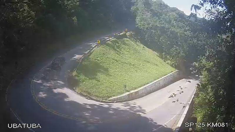 Rodovia Oswaldo Cruz (SP-125), no km 81, em trecho de serra, com pista cercada por vegetação e tráfego normal