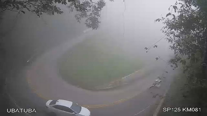 Rodovia Oswaldo Cruz, em Ubatuba, com pista molhada e baixa visibilidade causada por neblina
