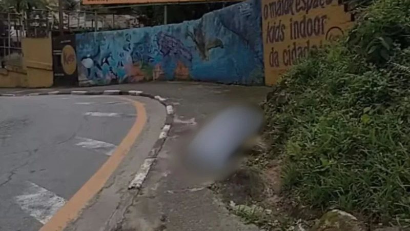 Corpo encontrado em área de mata no Guarujá