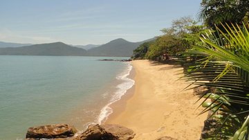 Praia de Picinguaba, em Ubatuba, com faixa de areia dourada, mar calmo de águas esverdeadas