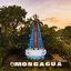 Estátua de Nossa Senhora de Aparecida