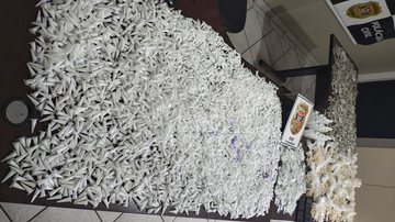 Imagem mostra milhares de porções de entorpecentes apreendidos pela Polícia Civil