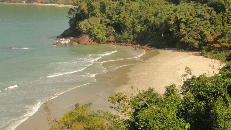 Praia Brava da Fortaleza cercada por vegetação, com faixa de areia clara, mar esverdeado e ondas suaves